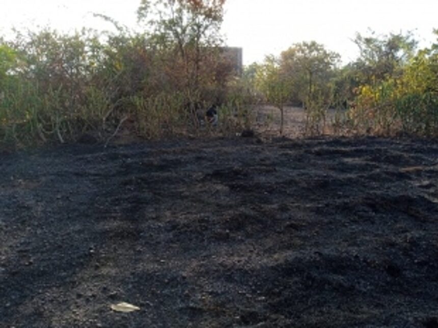 Mopa Farmers Demand Justice as Police Inaction Raises Concerns over Alleged Cashew Plantation Destruction