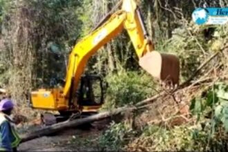 Mopa link road  ‘bulldozing’ to continue