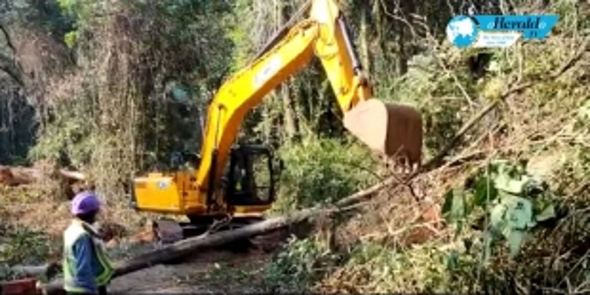 Mopa link road  ‘bulldozing’ to continue
