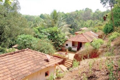 Mopa’s Biodiversity Soars into Oblivion