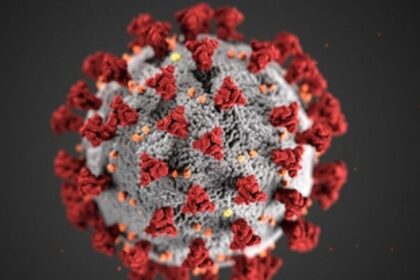 More curbs expected  as cases increase