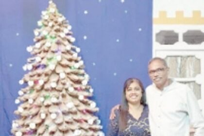 More than just a Christmas tree