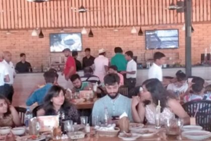 More than just juicy Fat Fish