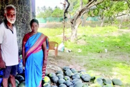More than just mail: Postman Rajan Kerkar delivers gigantic watermelons, wins hearts in Sangolda
