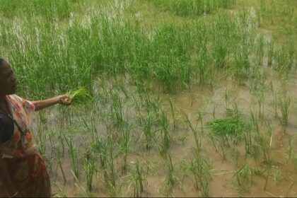 Morjim Farmers Demand Revival of Fertilizer Godown, Cite High Transport Costs and Stock Shortages
