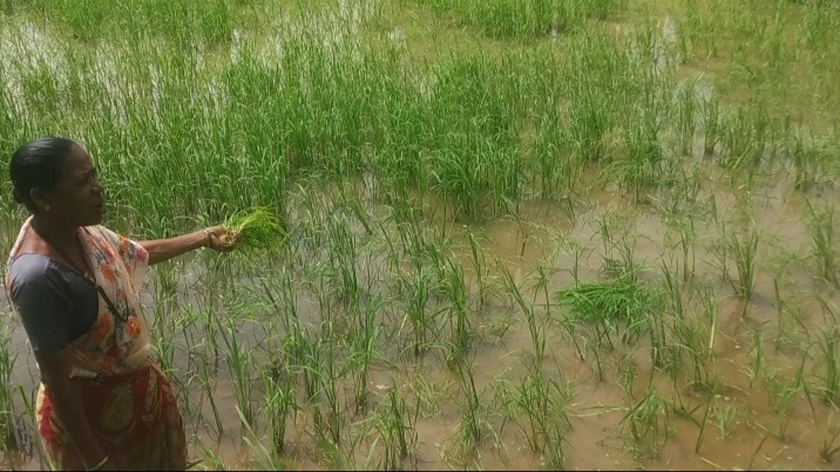 Morjim Farmers Demand Revival of Fertilizer Godown, Cite High Transport Costs and Stock Shortages