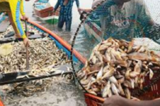 Morjim fishermen seek govt help to salvage their losses in cyclone
