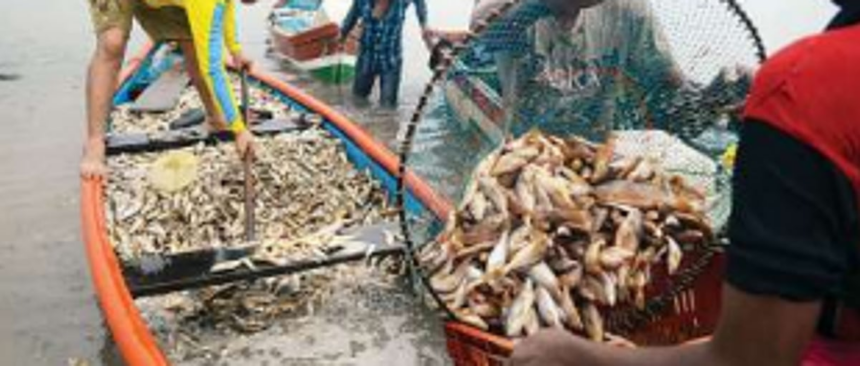 Morjim fishermen seek govt help to salvage their losses in cyclone