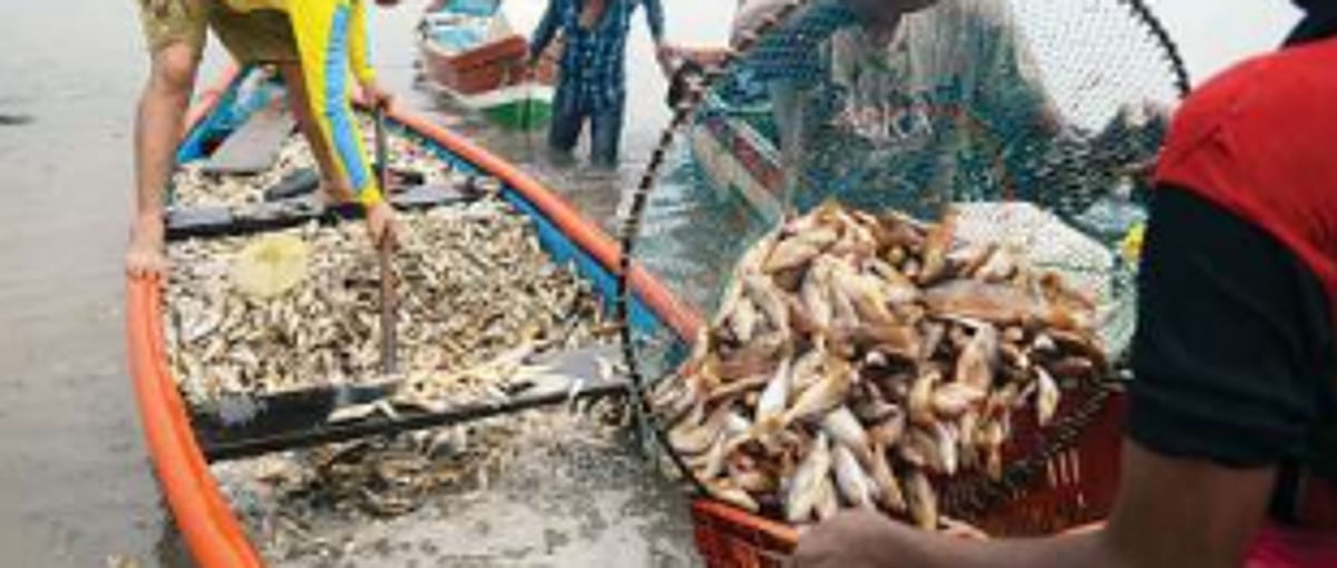 Morjim fishermen seek govt help to salvage their losses in cyclone