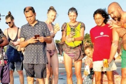 Morjim locals demand extra  vigil at turtle nesting sites