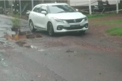 Morjim locals plant tree saplings in potholes to draw attention of PWD