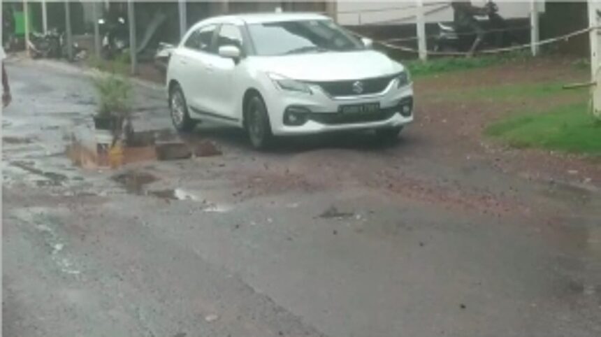 Morjim locals plant tree saplings in potholes to draw attention of PWD 1 Morjim locals plant tree saplings in potholes to draw attention of PWD