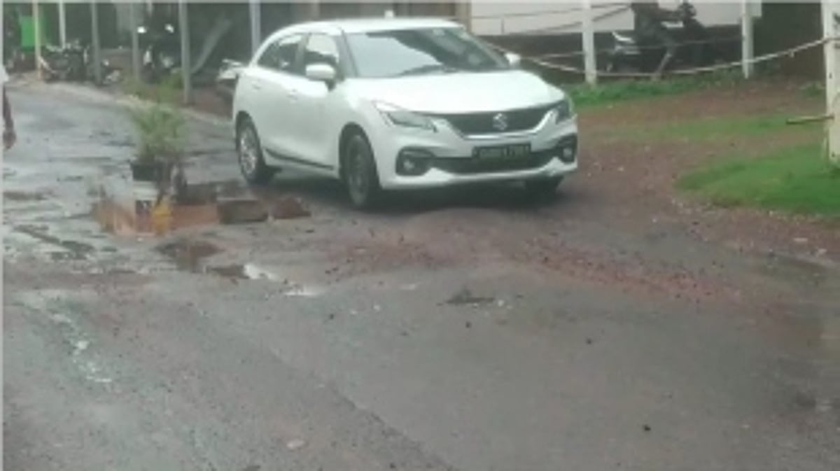 Morjim locals plant tree saplings in potholes to draw attention of PWD