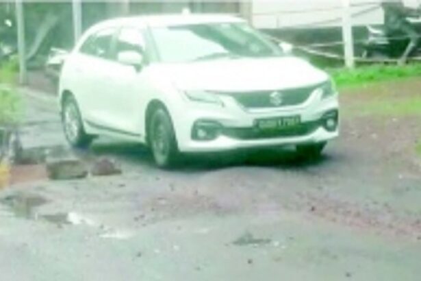 Morjim locals set out on a novel  idea, plant saplings in potholes