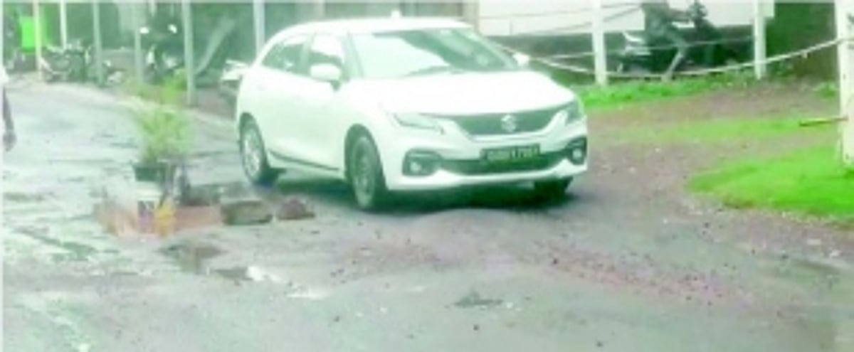 Morjim locals set out on a novel  idea, plant saplings in potholes