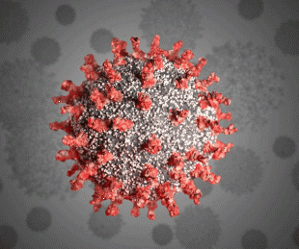 Morlem, Vasco patients succumb to COVID-19