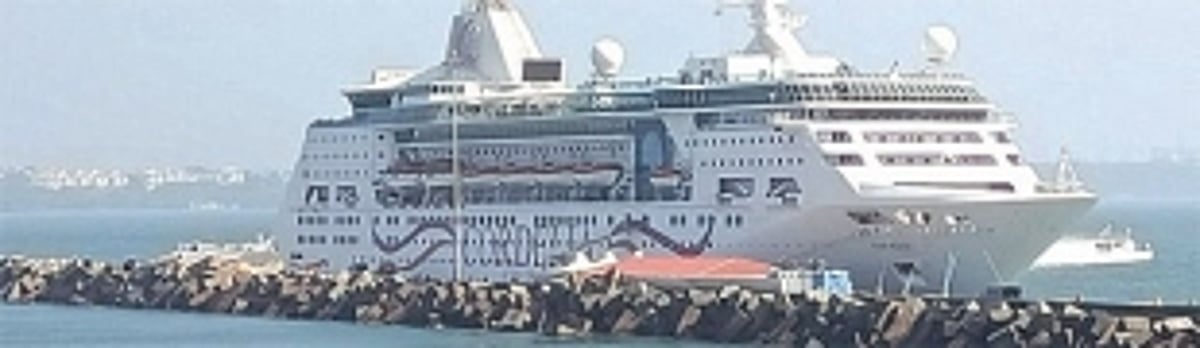 Mormugao Port to privatise three berths to handle green cargo: MPA Chairman