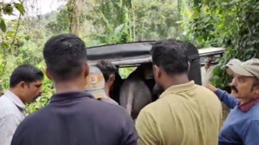 Mother Elephant and Newborn Cub Reunite in Heartwarming Rescue Mission 1 Mother Elephant and Newborn Cub Reunite in Heartwarming Rescue Mission