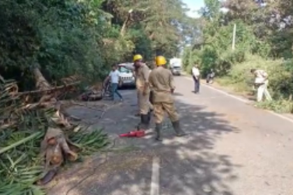 Motorcyclist injured after a tree fell on him at Chicalim