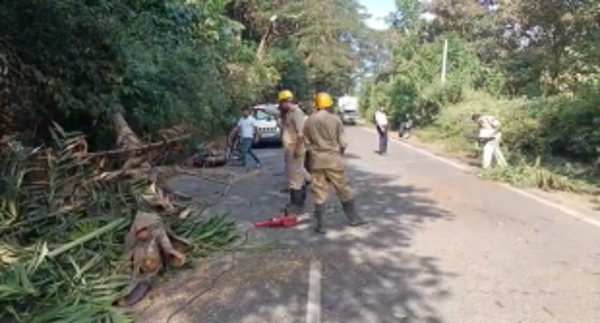 Motorcyclist injured after a tree fell on him at Chicalim