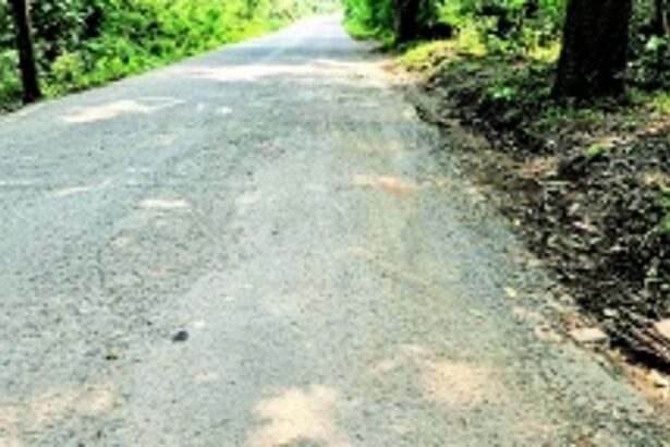 Motorists demand urgent repainting of dangerous speed bumps