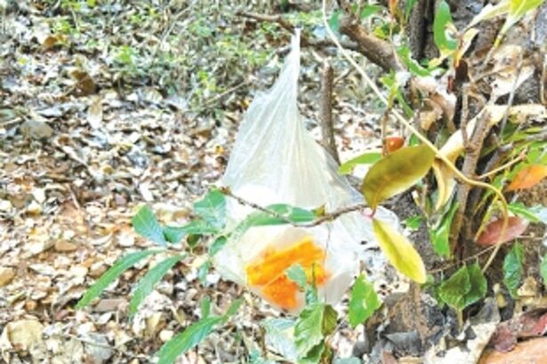 Mounds of plastic, heaps of garbage find their way in Cotigao Wildlife Sanctuary