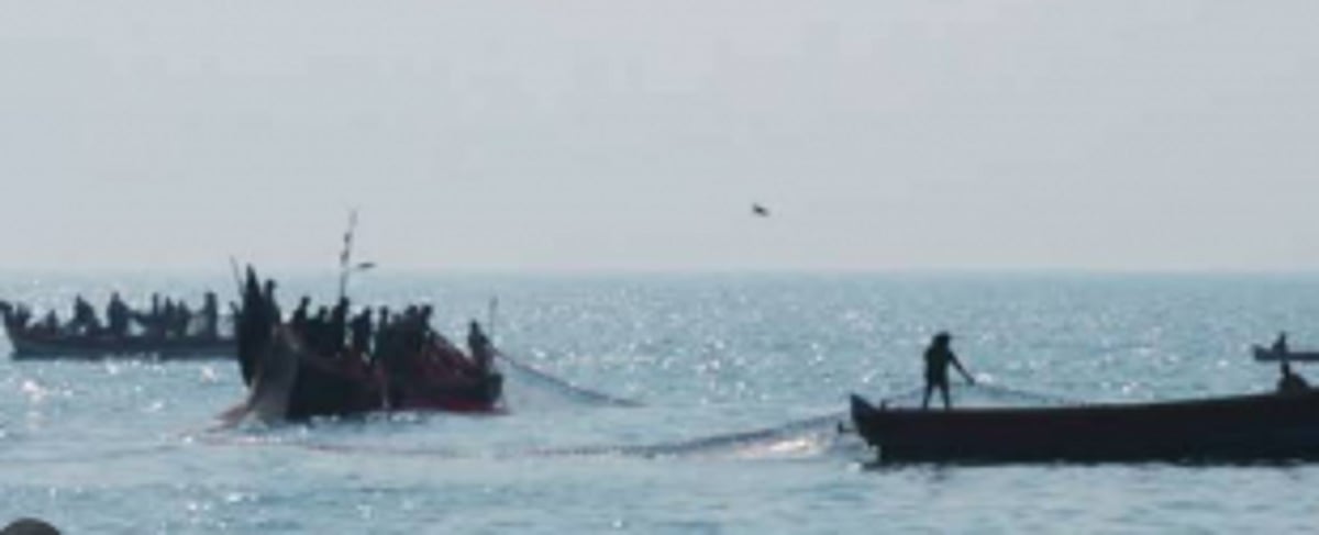 Movement of   boats in rivers  decriminalised