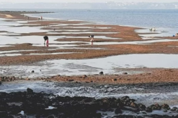 Mudflats of Chicalim Bay should be marked on CZMP for Goa, urge villagers