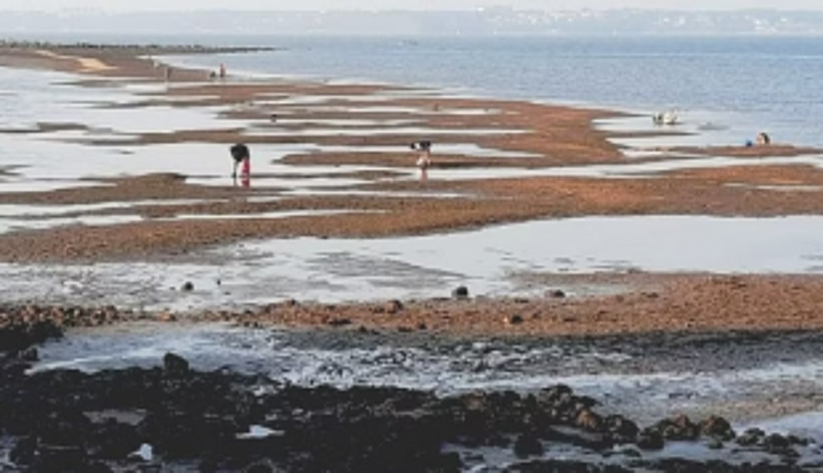 Mudflats of Chicalim Bay should be marked on CZMP for Goa, urge villagers