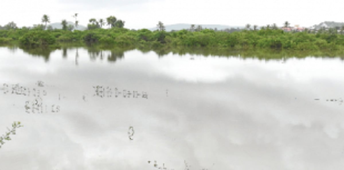 Mungul western bypass: Filling of water bodies raises fear of flooding, residents demand environment impact study