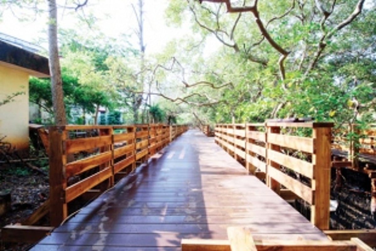 Museum to showcase nature