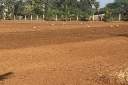 Mutation, partition, land conversion processes simplified