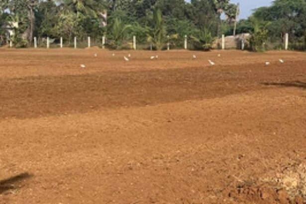 Mutation, partition, land conversion processes simplified