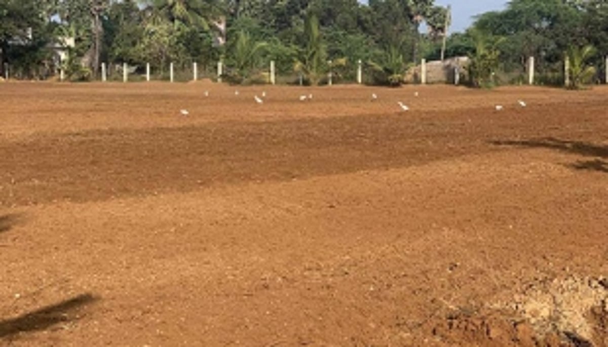 Mutation, partition, land conversion processes simplified