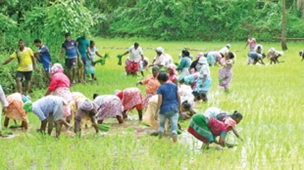 My vision for my golden Goa