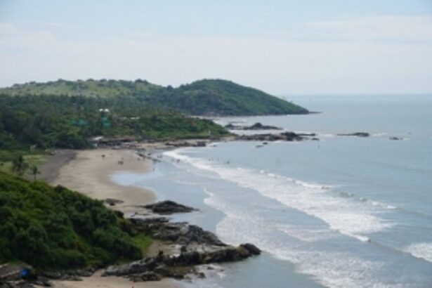 Mysterious deaths strike Goa nightlife: Two tourists die at separate parties, police fumble for leads