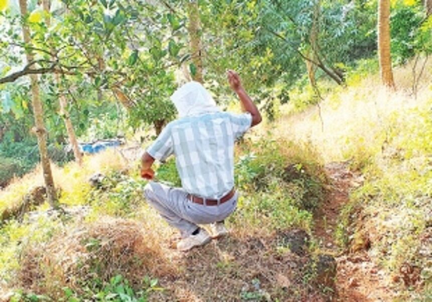 Mystery man sows seeds of passion fruit beside Canacona-Margao NH66 1 Mystery man sows seeds of passion fruit beside Canacona-Margao NH66