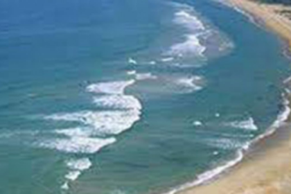 NCP urges govt to defer  public hearing on CZMP