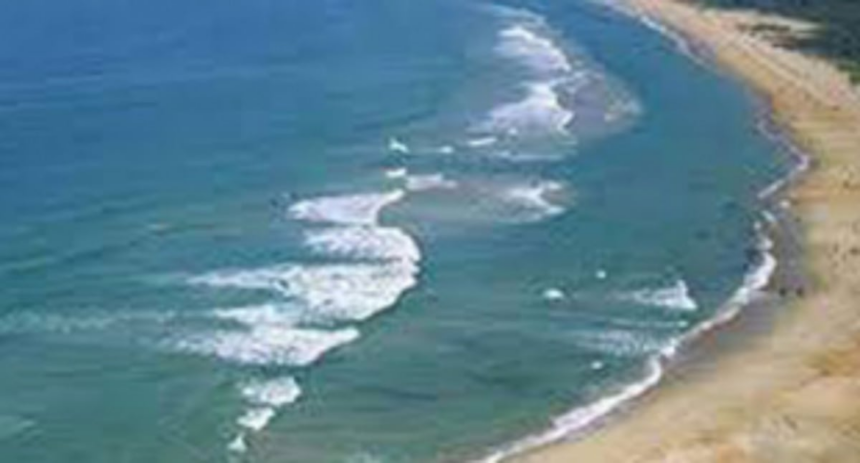 NCP urges govt to defer  public hearing on CZMP