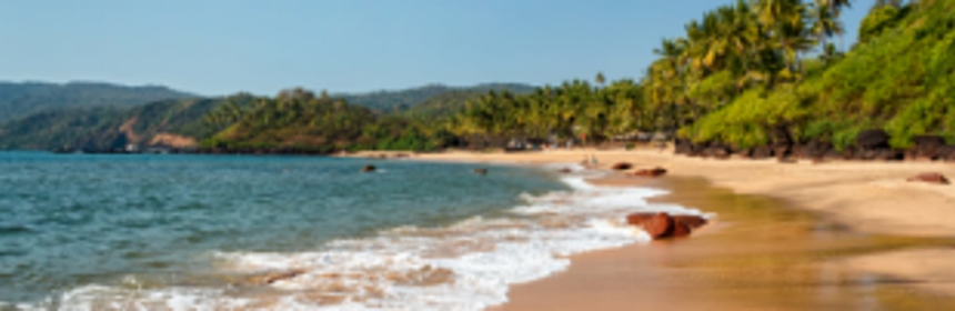 NCSCM to submit CZMP  final draft by mid-December