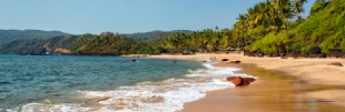 NCSCM to submit CZMP  final draft by mid-December