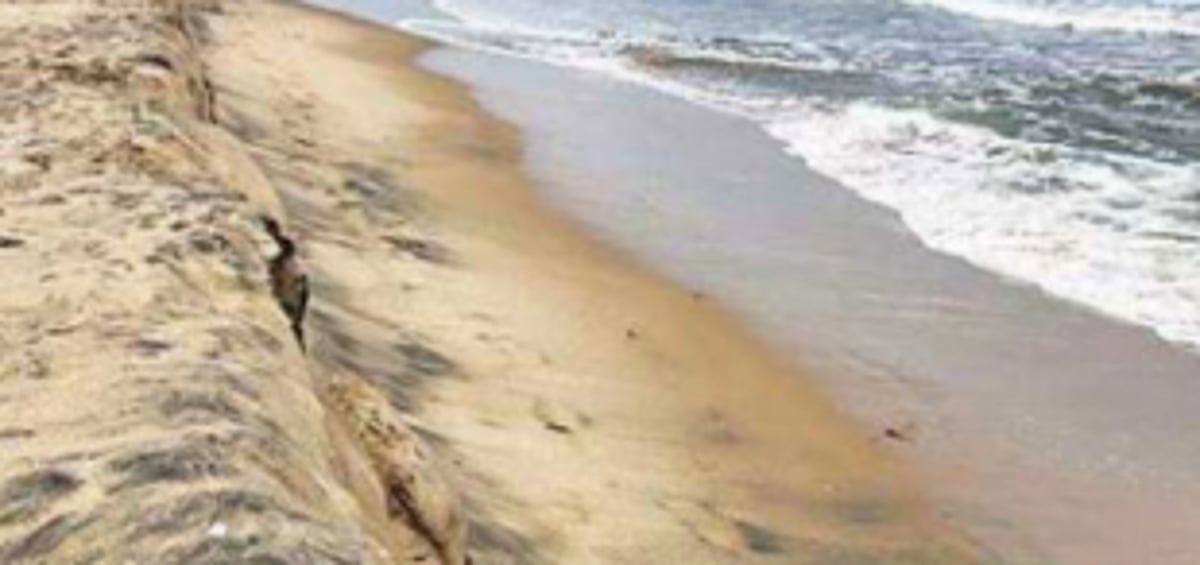 NFF slams NCSCM for giving ownership  rights to MPT in CZMP