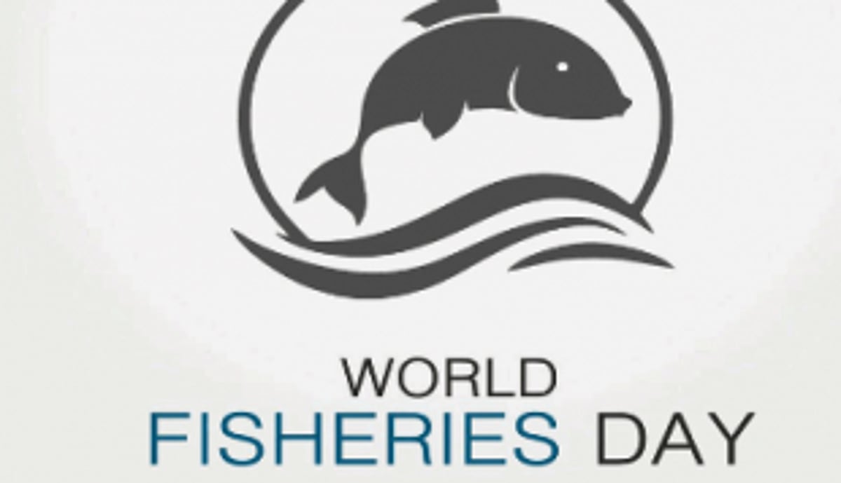 NFF wants blue economy  polices withdrawn