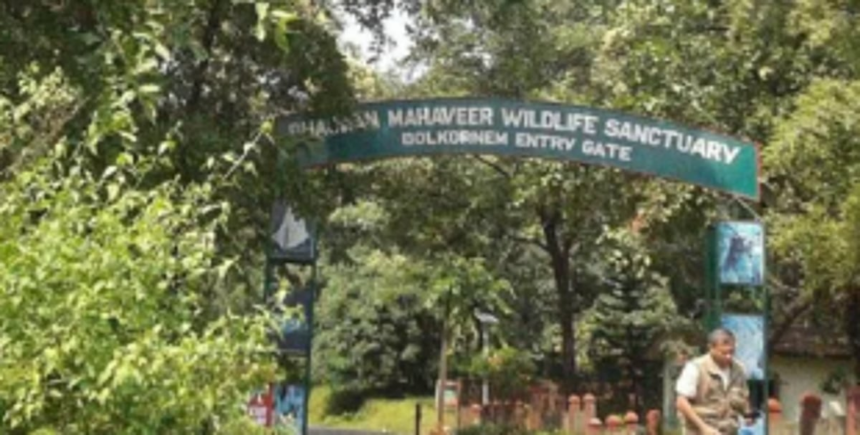 NGO challenges approval for Mollem mega projects in High Court