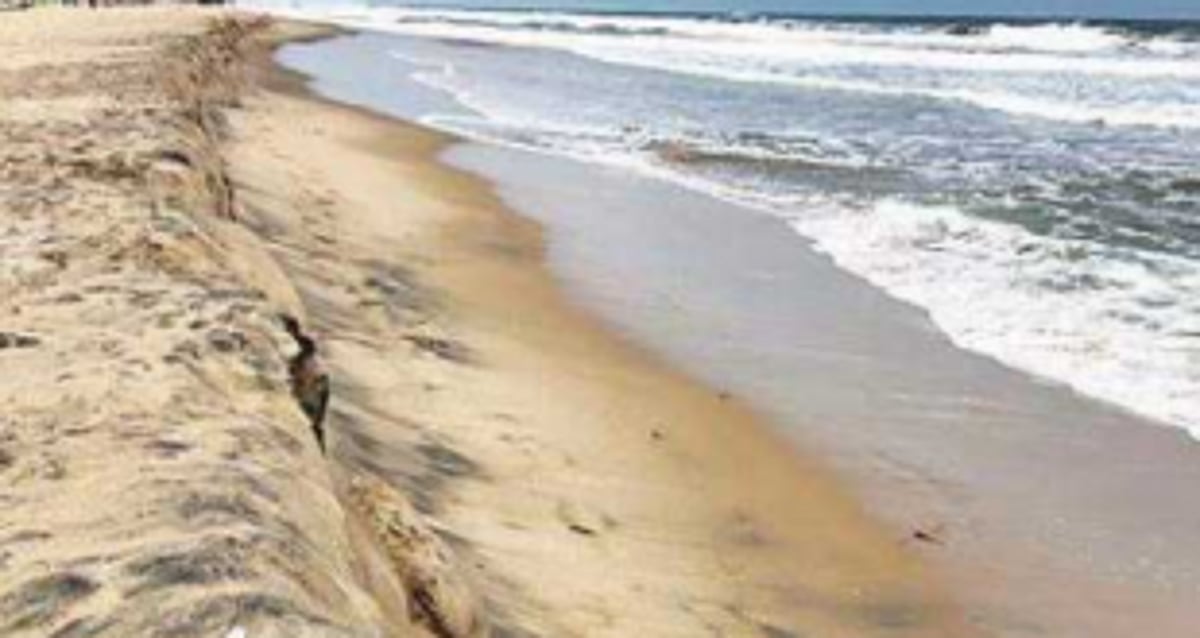 NGO slams Draft CZMP for ‘hundreds of errors’