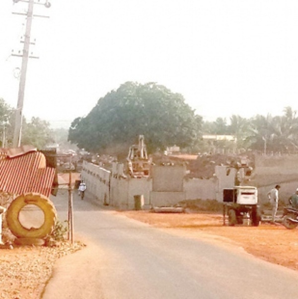 NGO urges CM to protect six mango trees on NH at Colvale