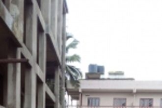 NGO wants builder’s permission revoked for ‘uprooting’ banyan tree