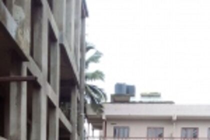 NGO wants builder’s permission revoked for ‘uprooting’ banyan tree