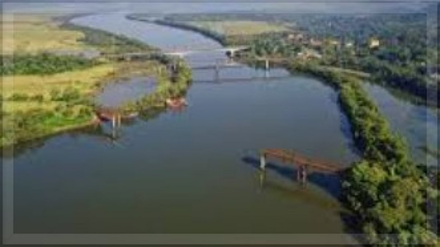 NGT Orders PWD to Submit Exact Dimensions of Borim Bridge Project Amid EC Concerns