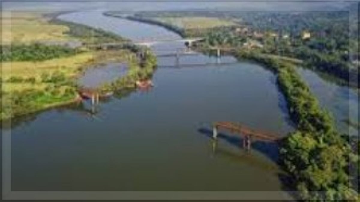 NGT Orders PWD to Submit Exact Dimensions of Borim Bridge Project Amid EC Concerns